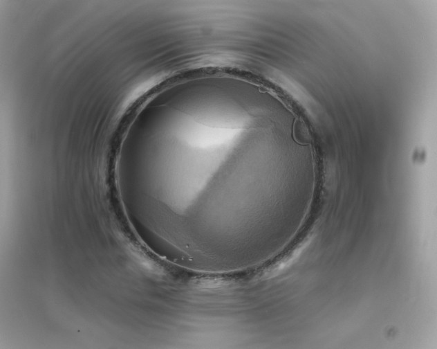 X0000095120826200712071238