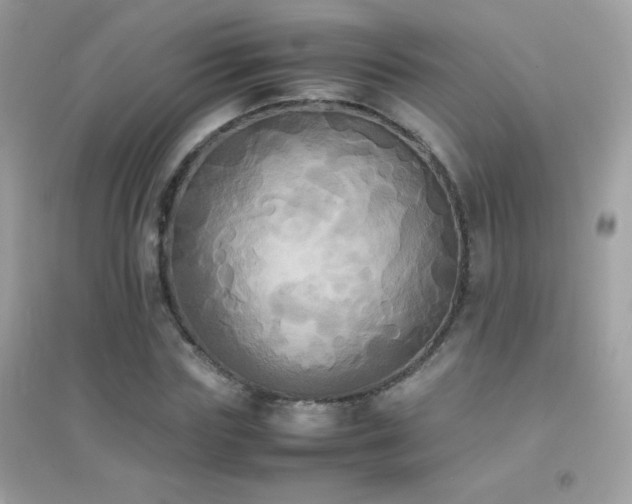 X0000095120827200712071238