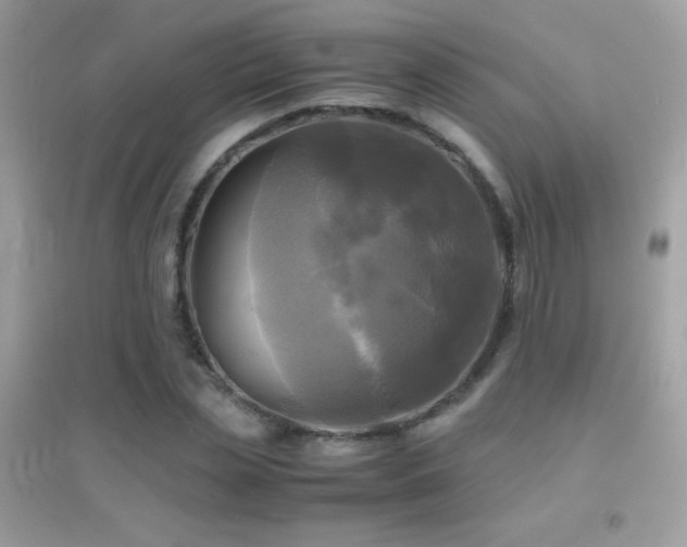 X0000095120829200712071238