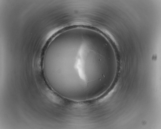 X0000095120830200712071238