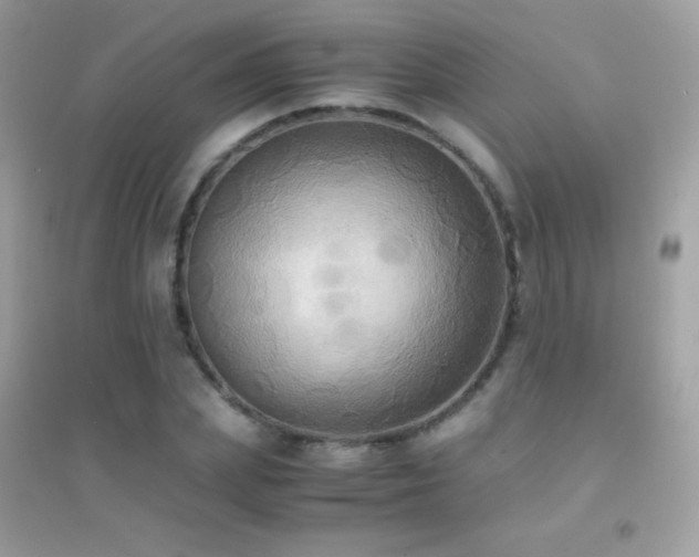 X0000095120831200712071238