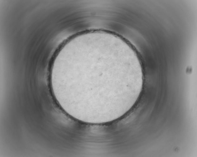 X0000095120832200712071238