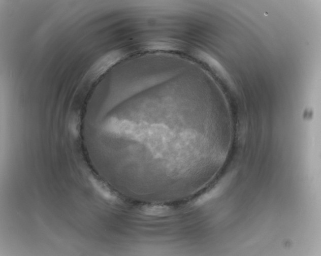 X0000095120833200712071238
