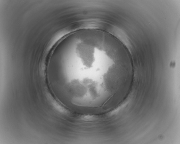 X0000095120835200712071238
