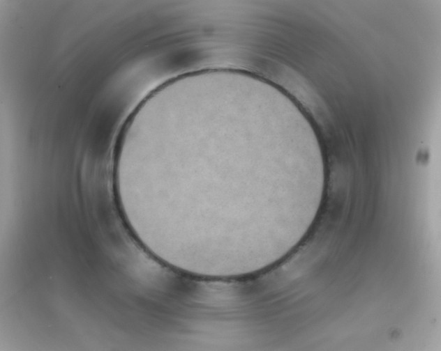 X0000095120836200712071238