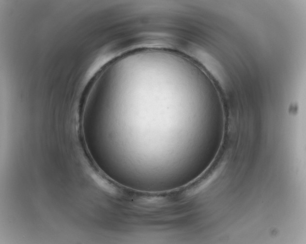 X0000095120837200712071238