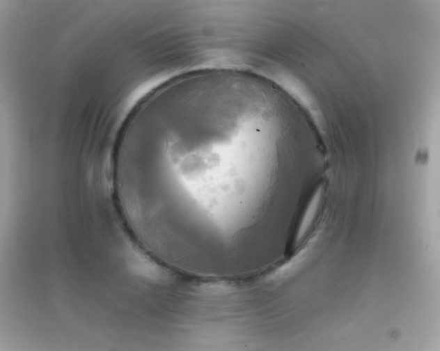 X0000095120838200712071238