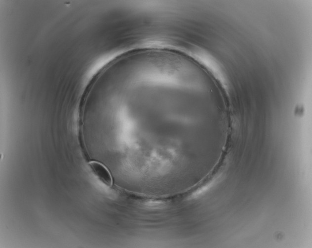X0000095120839200712071238