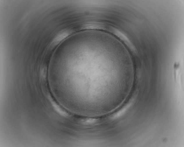 X0000095120841200712071238