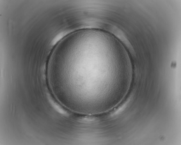 X0000095120842200712071238