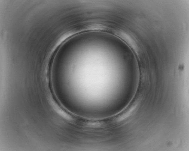 X0000095120843200712071238