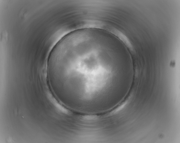 X0000095120844200712071238