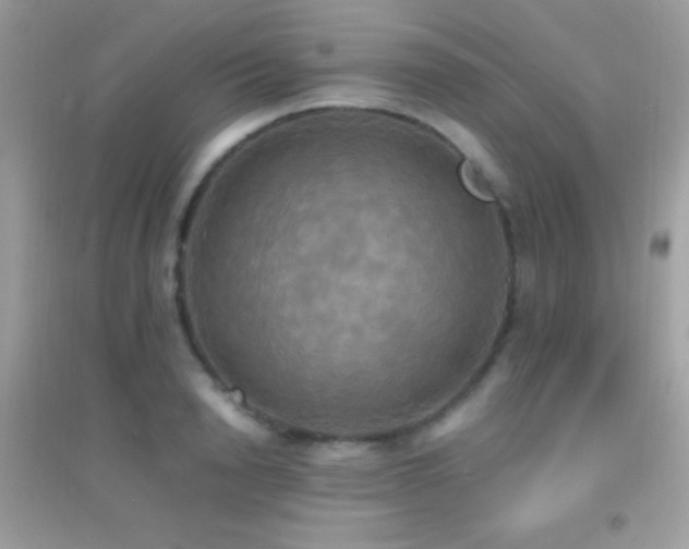 X0000095120846200712071238