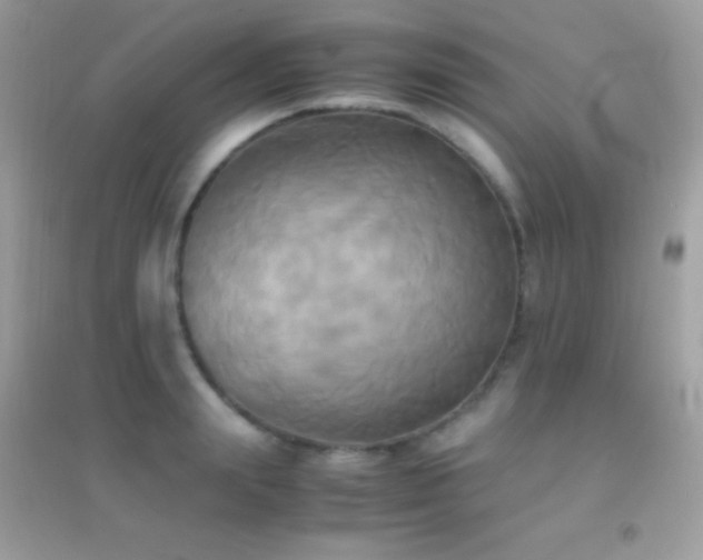 X0000095120847200712071238
