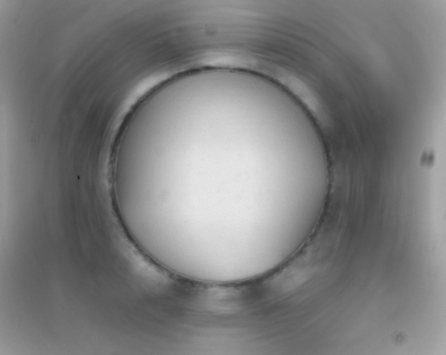 X0000095120848200712071238
