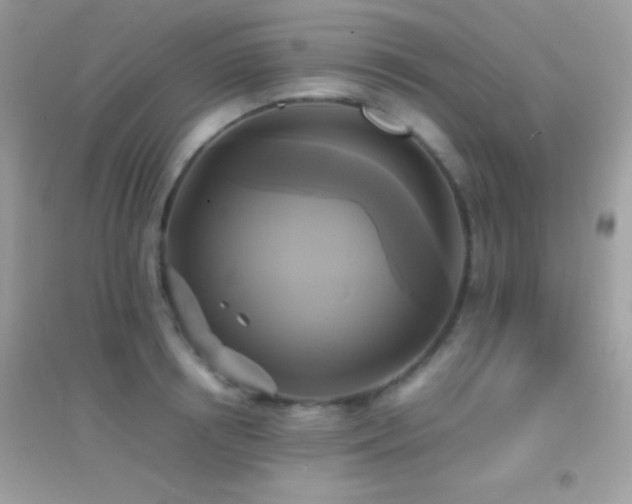 X0000095120850200712071238