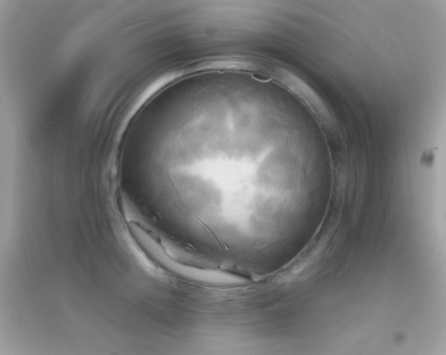X0000095120852200712071238