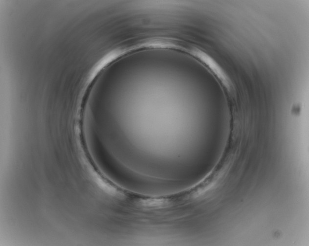 X0000095120853200712071238