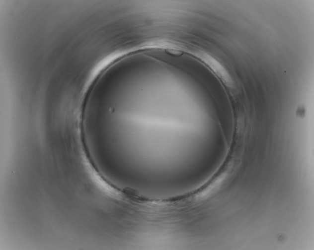 X0000095120854200712071238