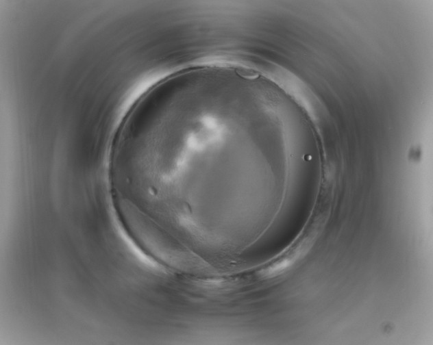 X0000095120855200712071238