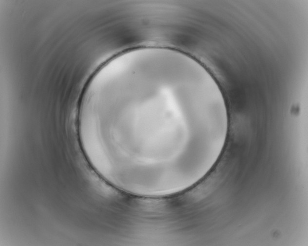 X0000095120856200712071238