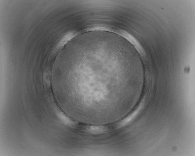 X0000095120857200712071238