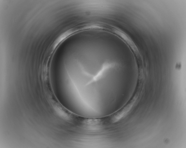 X0000095120858200712071238