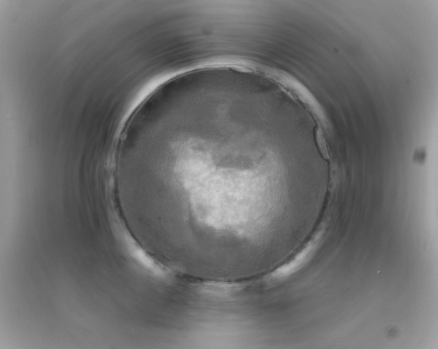 X0000095120860200712071238