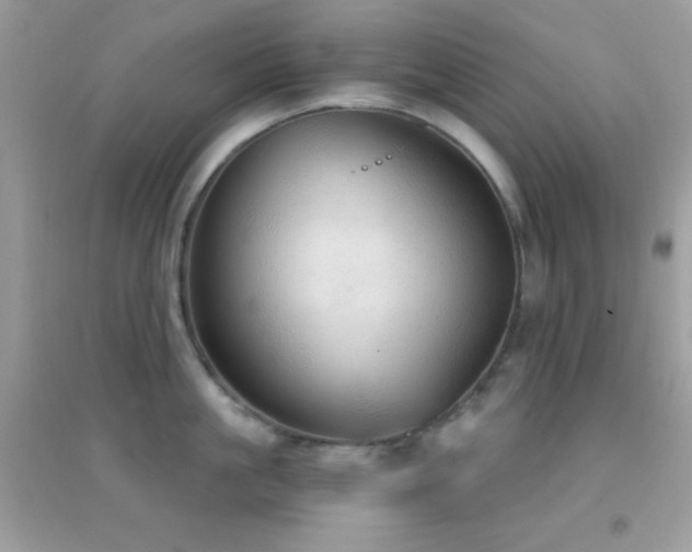 X0000095120861200712071238