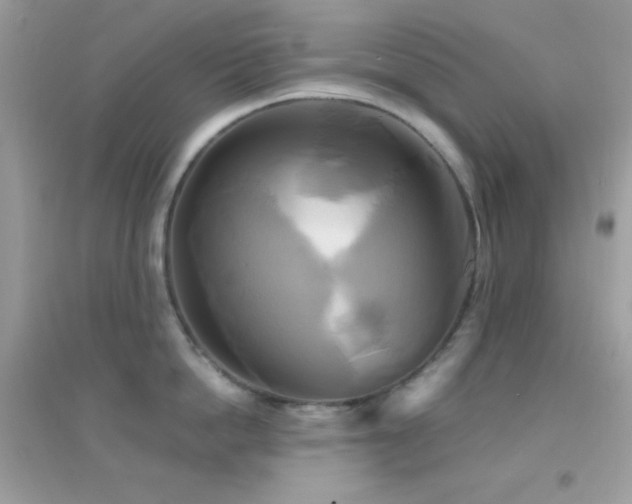 X0000095120862200712071238