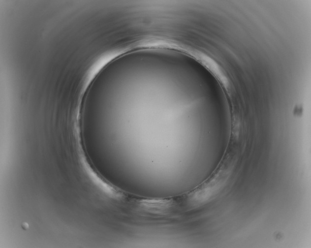 X0000095120863200712071238