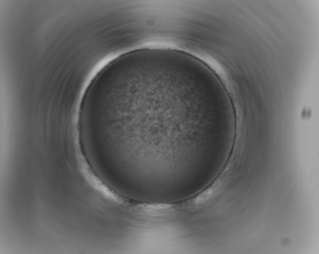 X0000095120864200712071238