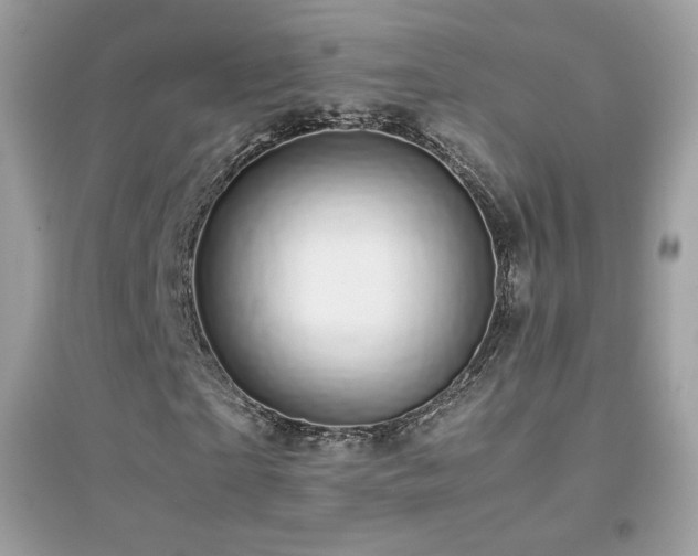 X0000095120865200712071237