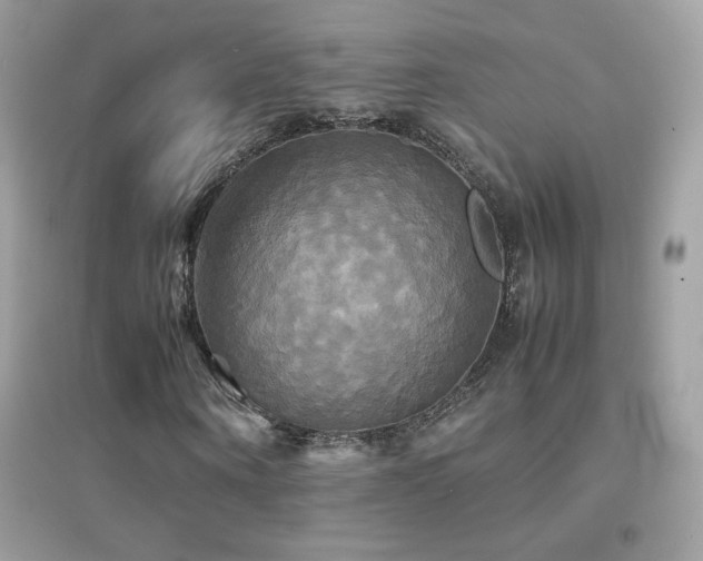 X0000095120866200712071237