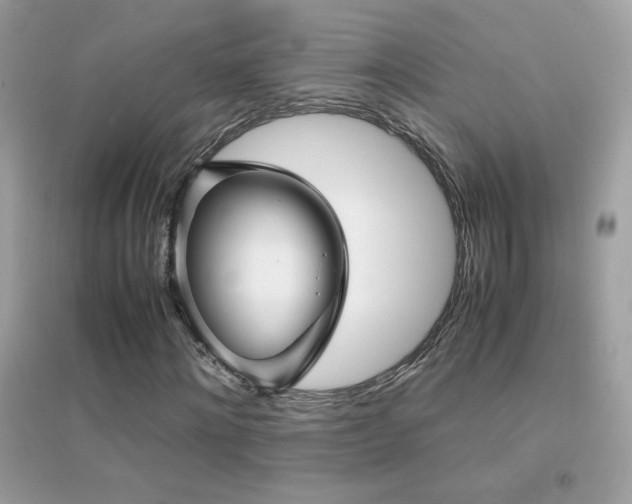 X0000095120868200712071237