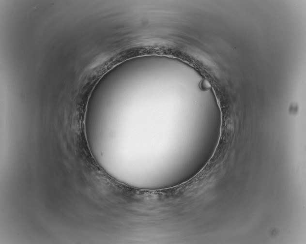 X0000095120869200712071237