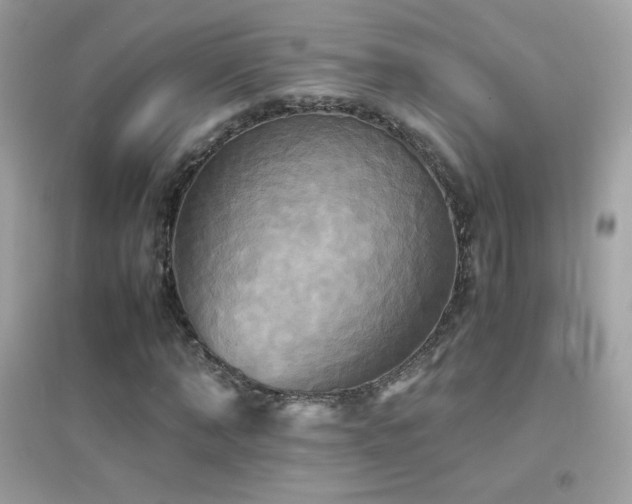 X0000095120870200712071237