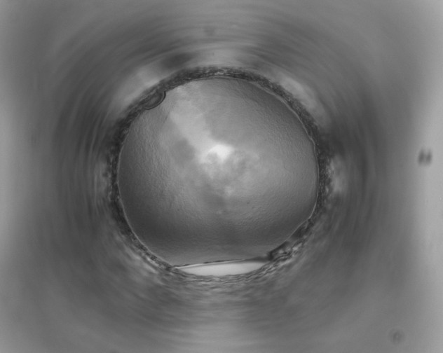 X0000095120872200712071237