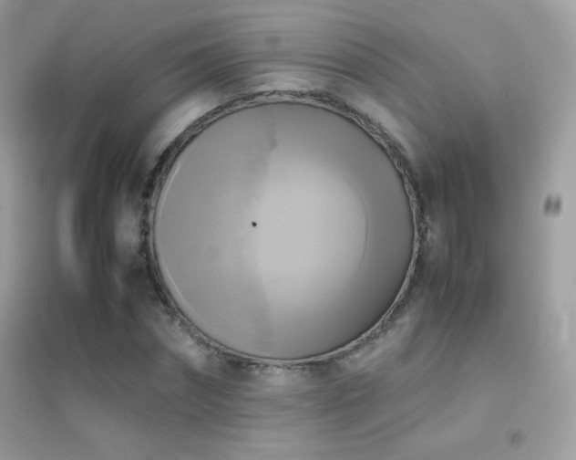 X0000095120874200712071237