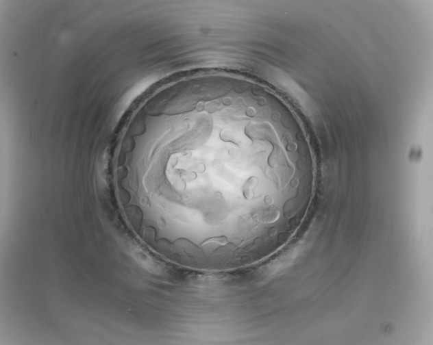 X0000095120875200712071237