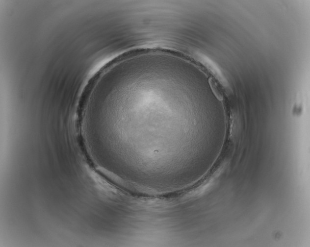 X0000095120876200712071237