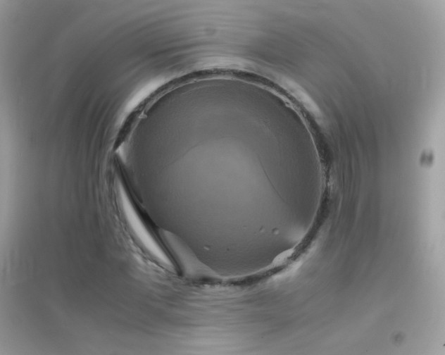X0000095120877200712071237