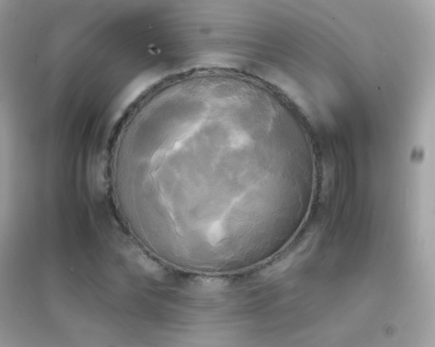 X0000095120878200712071237