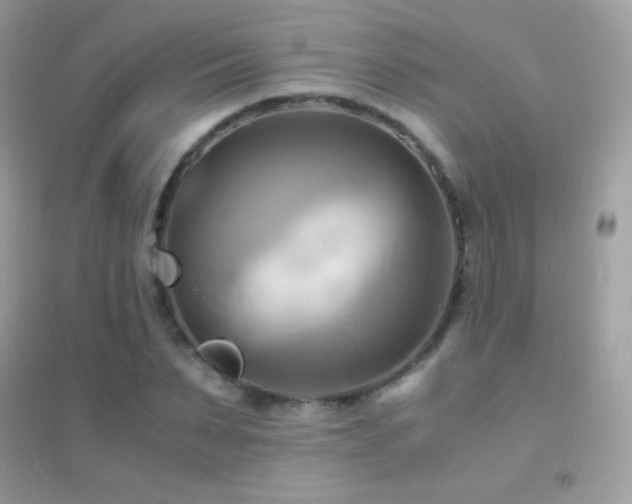 X0000095120879200712071237