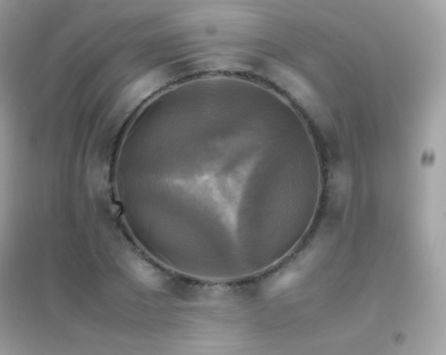 X0000095120881200712071237
