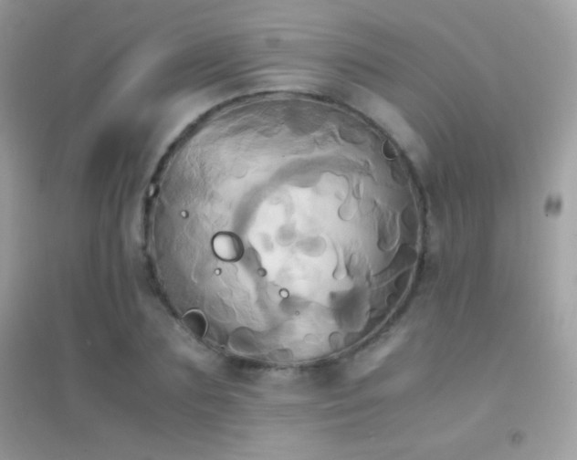 X0000095120883200712071237