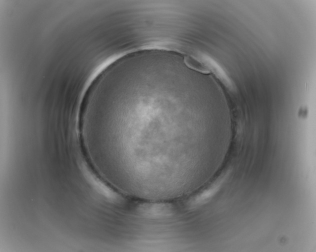 X0000095120884200712071237