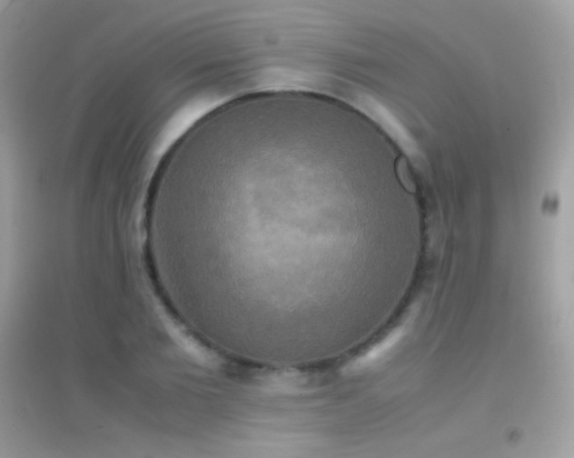 X0000095120885200712071237