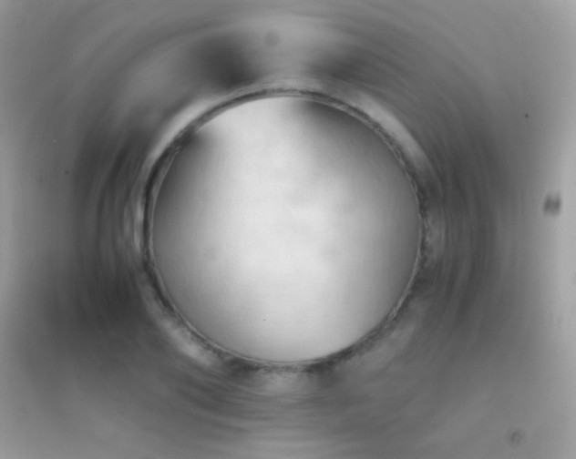 X0000095120886200712071237