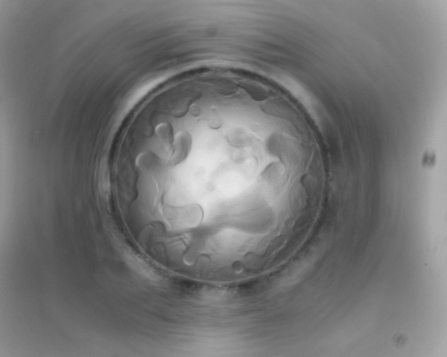 X0000095120887200712071237